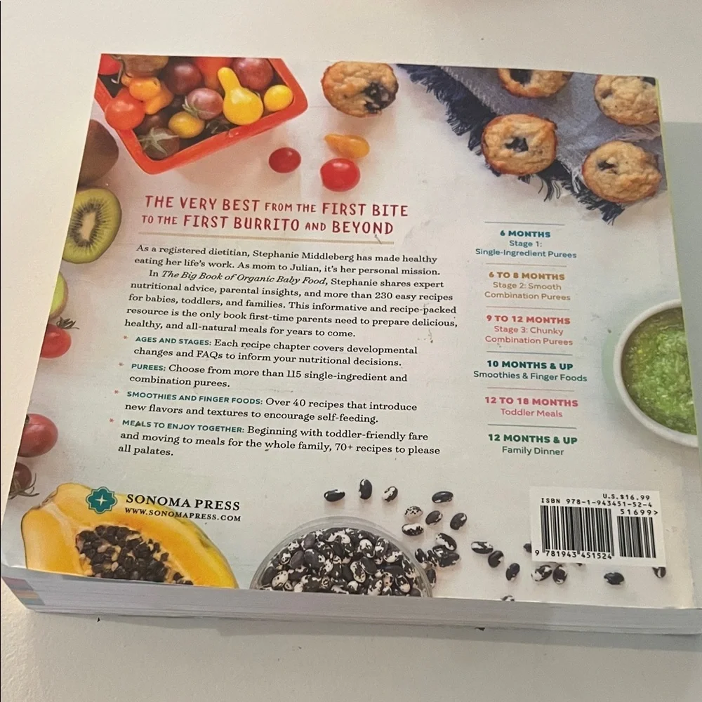 The Big Book of Organic Baby Food